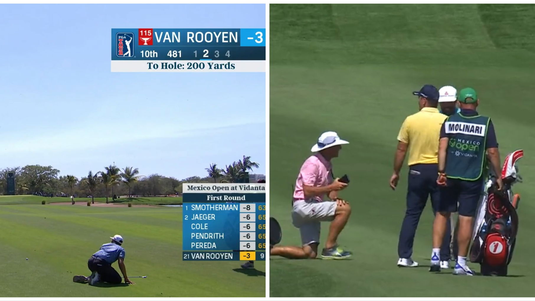 WATCH: Panicked PGA Tour players, caddies HIT THE DECK to avoid swarm of bees!